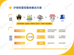 CCN中商入选上海浦东文创产业发展专项资金支持项目：IP授权管控解决方案获权威认可。